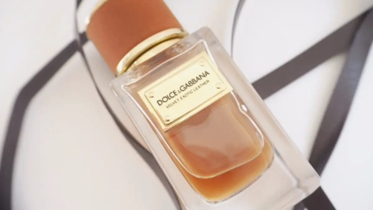 Dolce gabbana cheap exotic leather