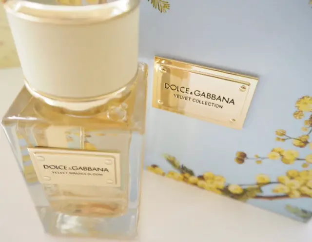Dolce & Gabbana Velvet Mimosa