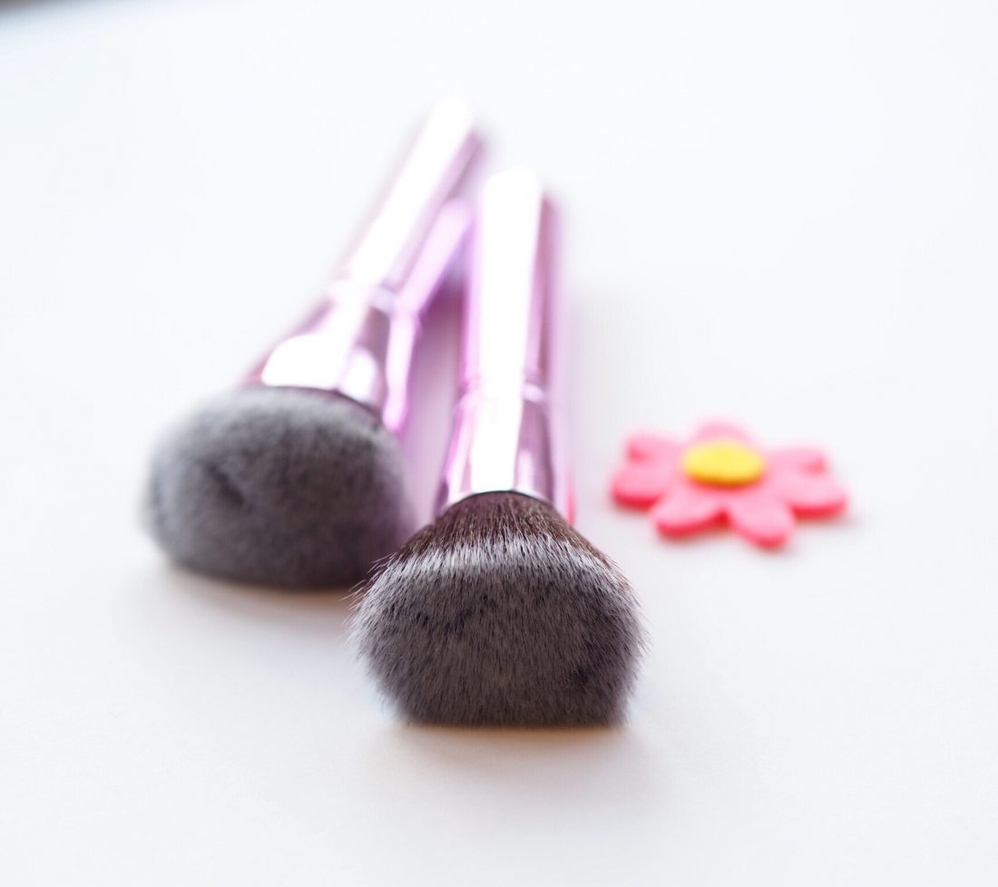 Blank Canvas Brushes British Beauty Blogger