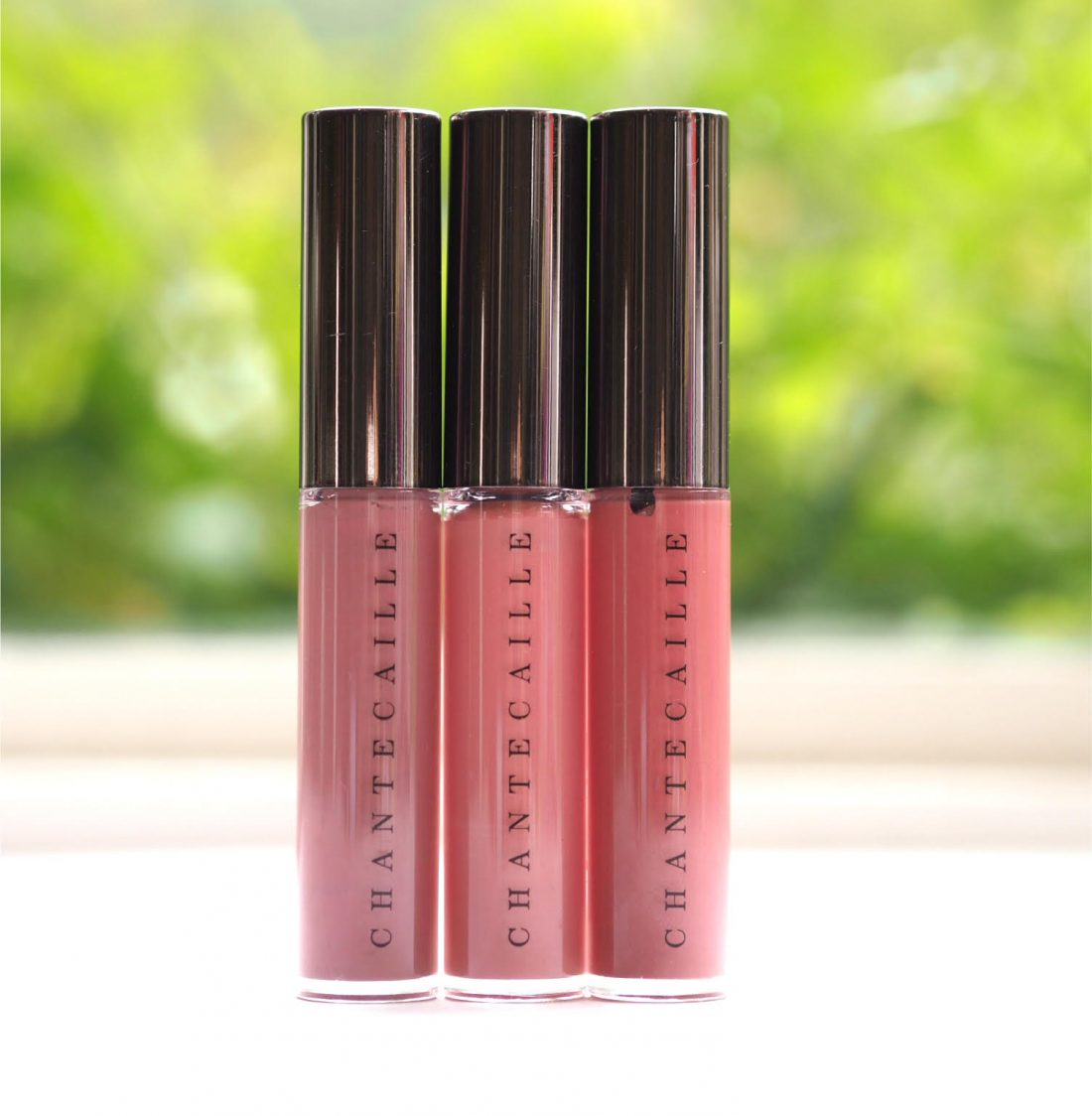 chantecaille matte lipstick