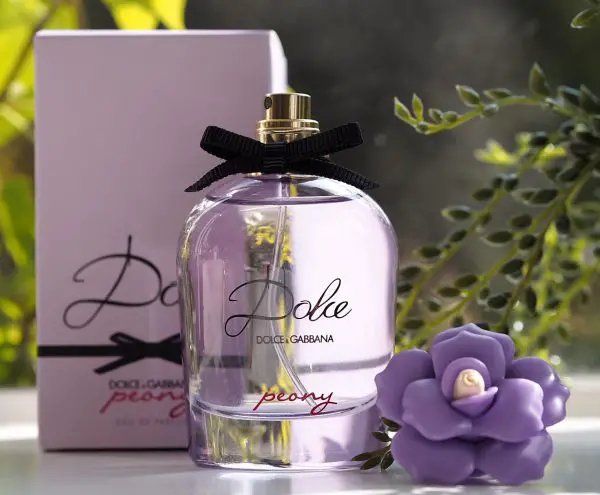 Dolce & Gabbana Velvet Vanity Case and 2 Perfumes