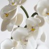 Senti Orchid Room Fragrancer