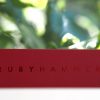 Ruby Hammer Magnetic Brush Set