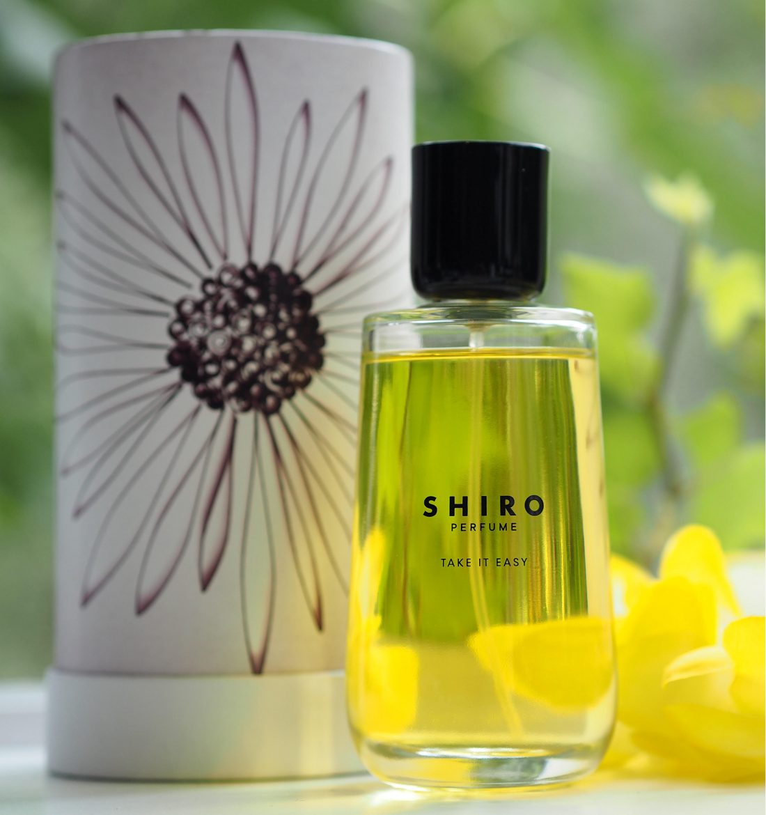 Shiro Take It Easy Fragrance | British Beauty Blogger