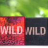 Huda Beauty Wild Obsessions Palettes