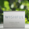 Wishful Clean Genie Cleansing Butter