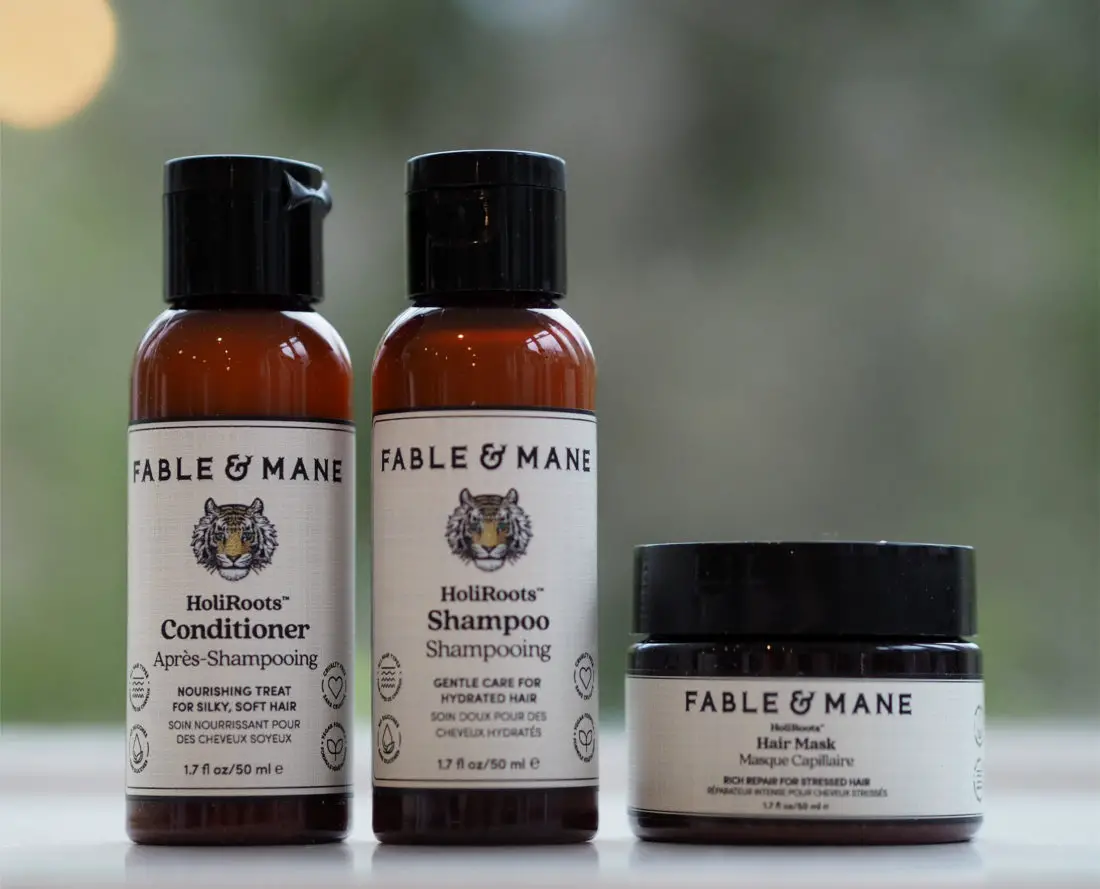 Fable Mane Discovery Set 3