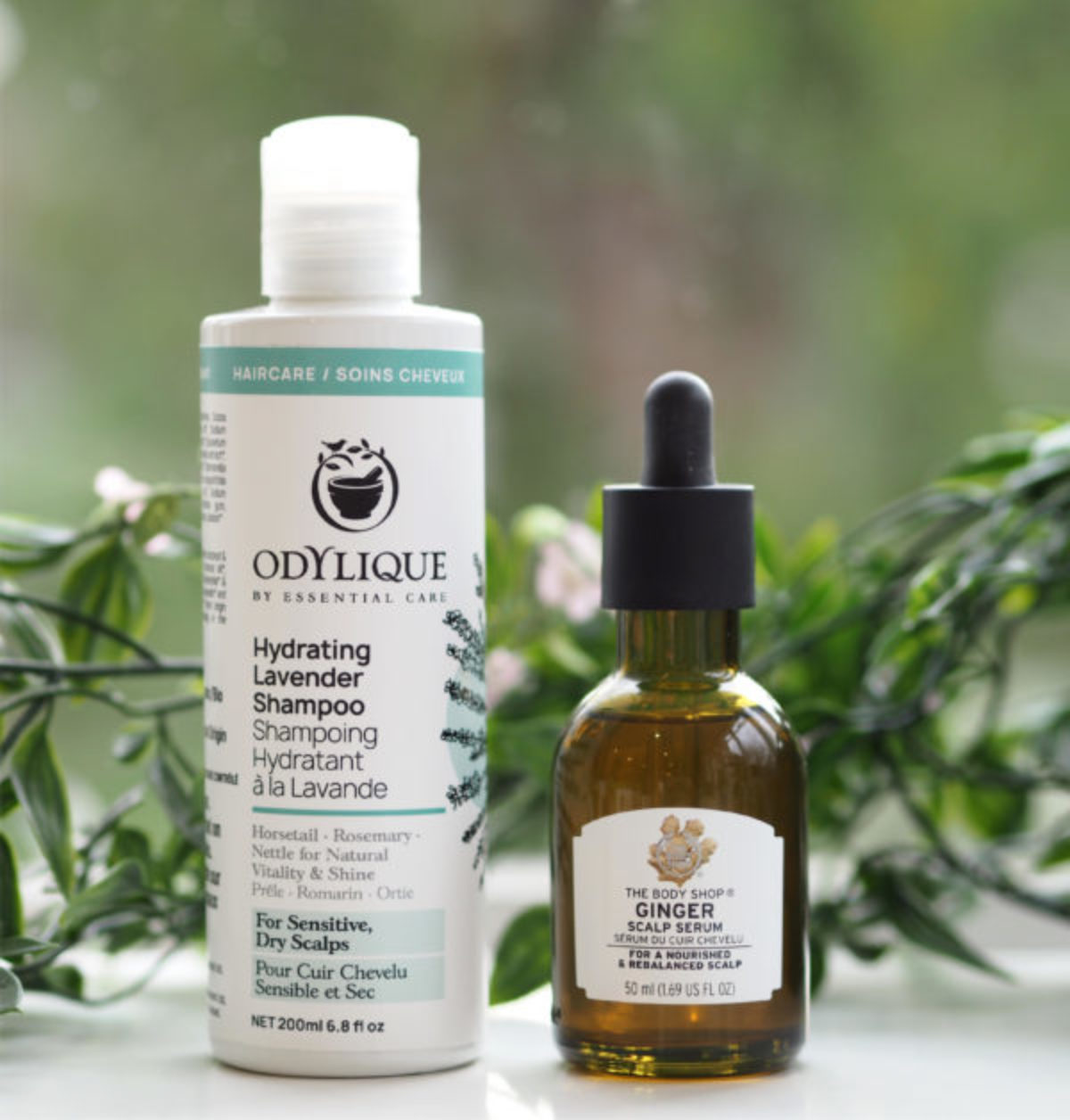 Beskæftiget Påstået snesevis Odylique Hydrating Lavender Shampoo | British Beauty Blogger