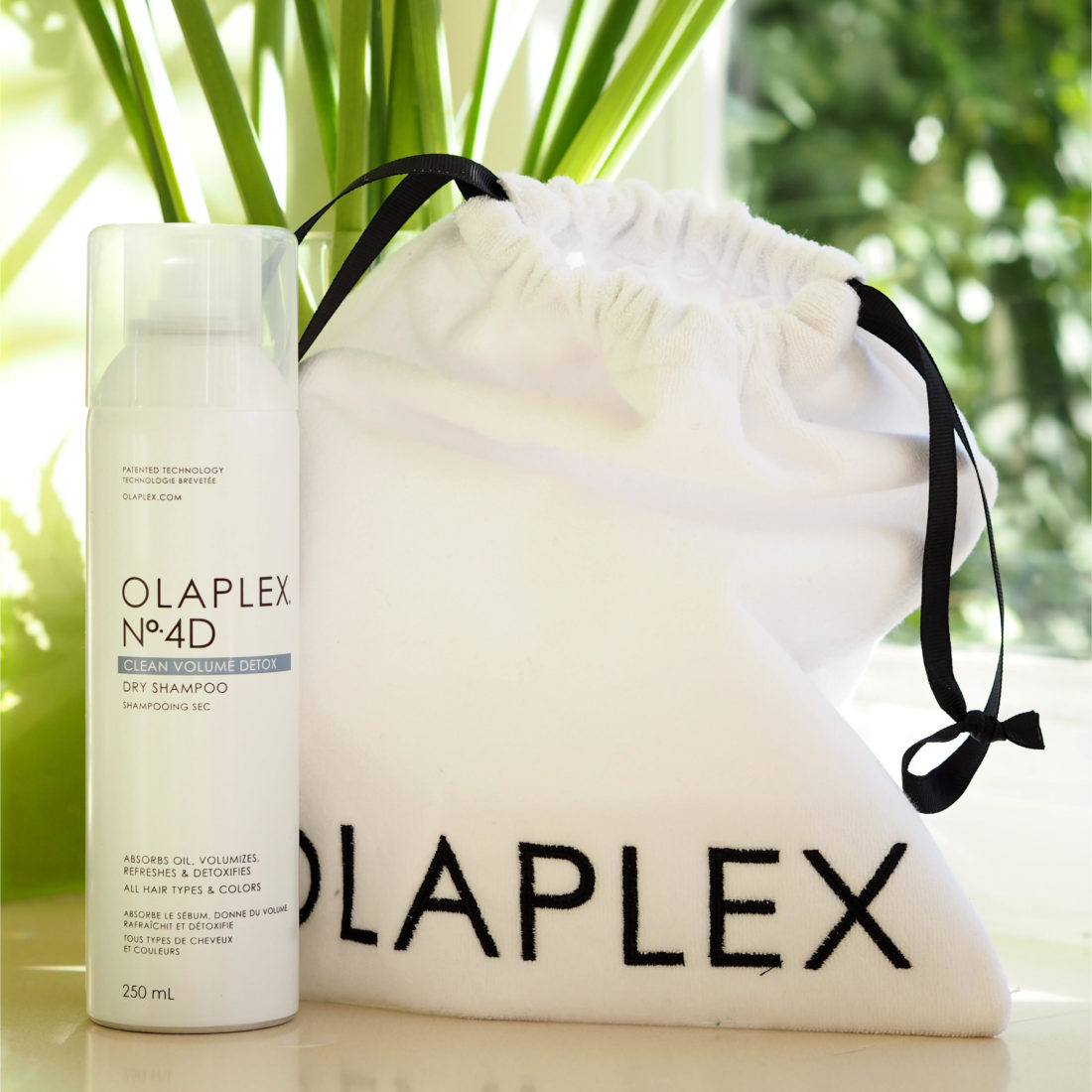 Olaplex No. 4D Dry | British Beauty Blogger